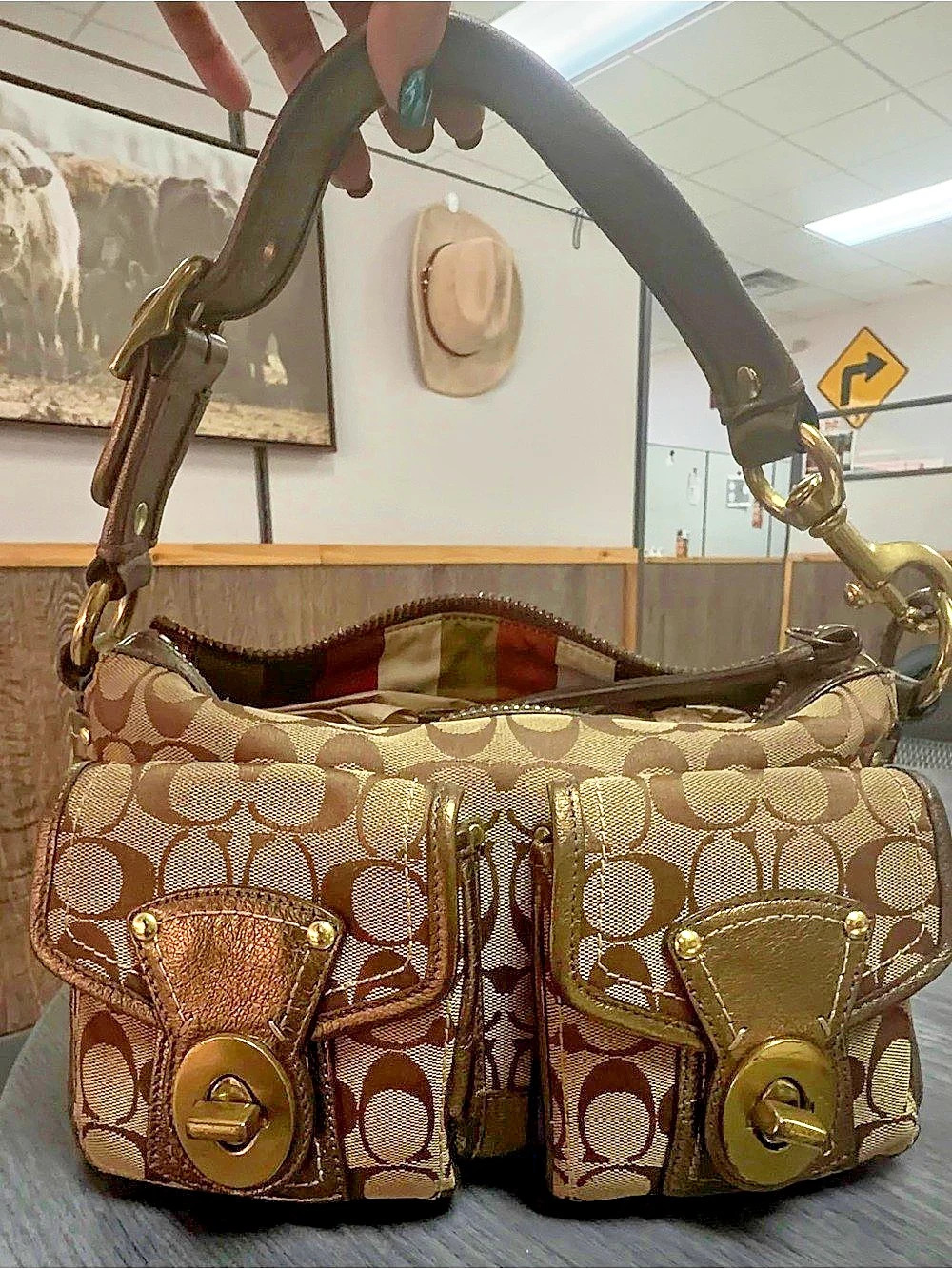 Coach Signature Stripe Multi Pocket Hobo Shoulder Bag Brown